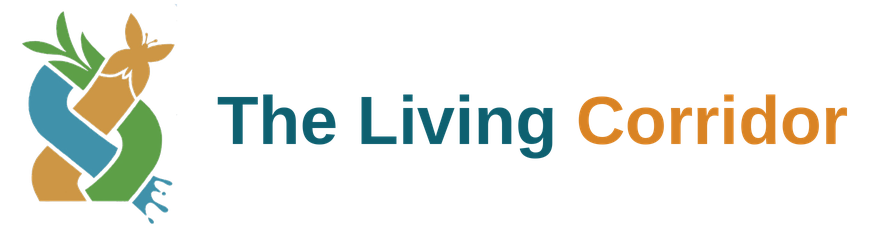cropped heading logo.png